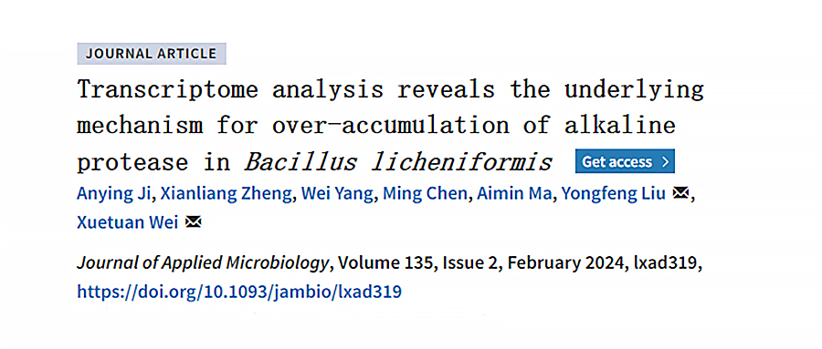 基于GenoLab M的轉(zhuǎn)錄組測序揭示地衣芽孢桿菌高產(chǎn)堿性蛋白酶的潛在機制